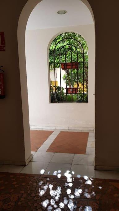 Precioso Apartamento Junto A Plaza La Corredera 科爾多瓦 外观 照片